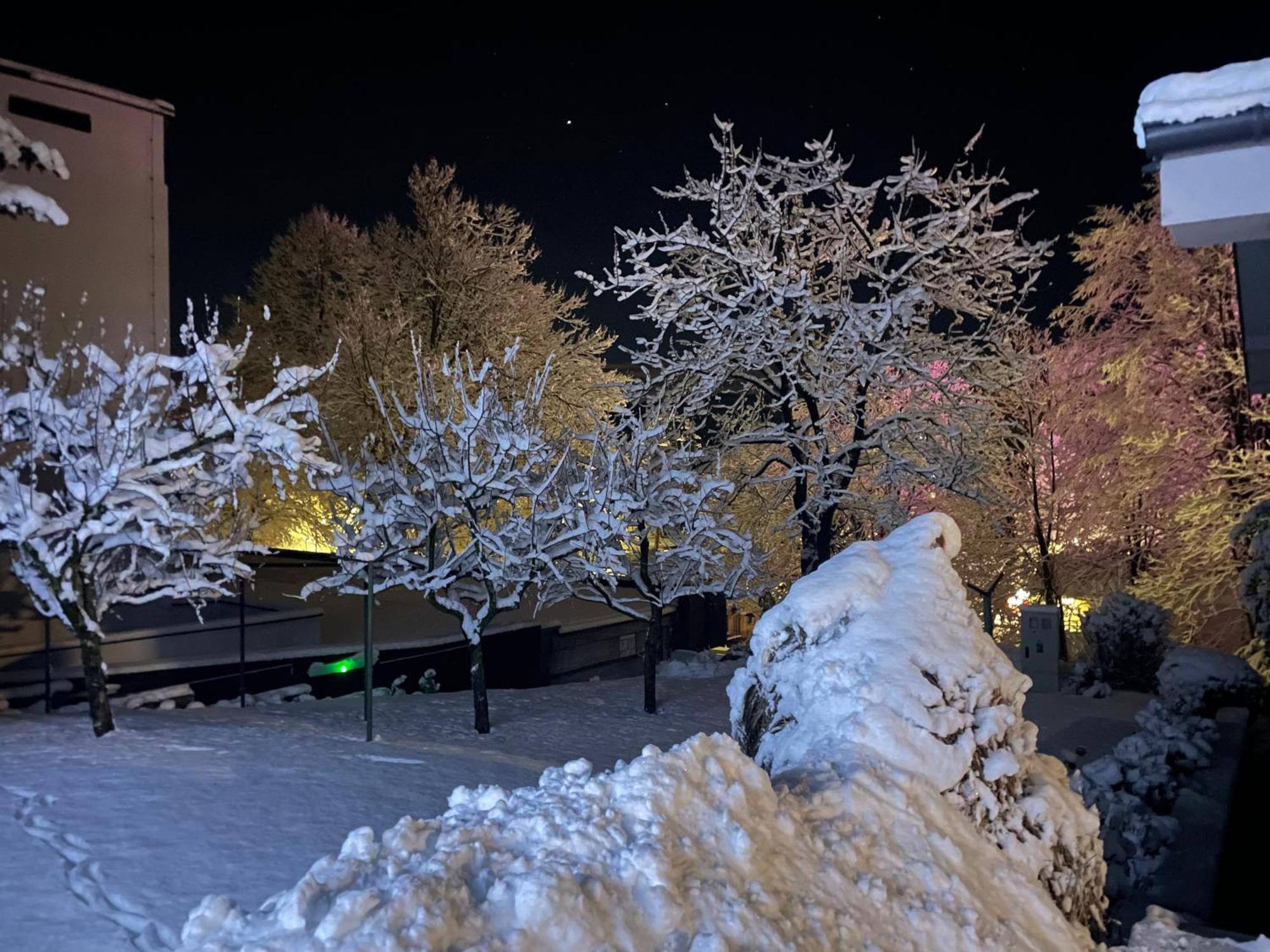 Katarina Apartman Bled Kültér fotó